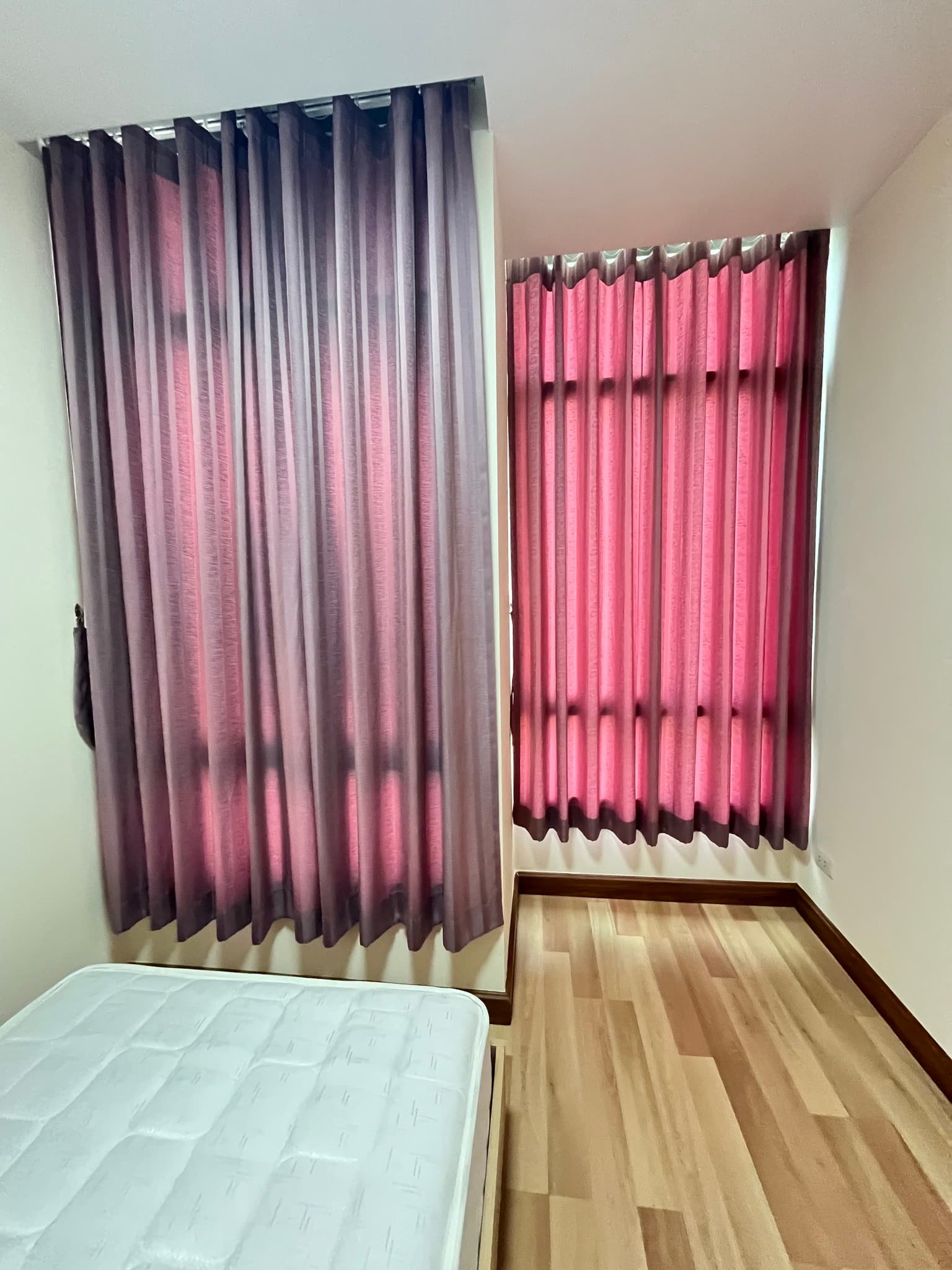 Photos