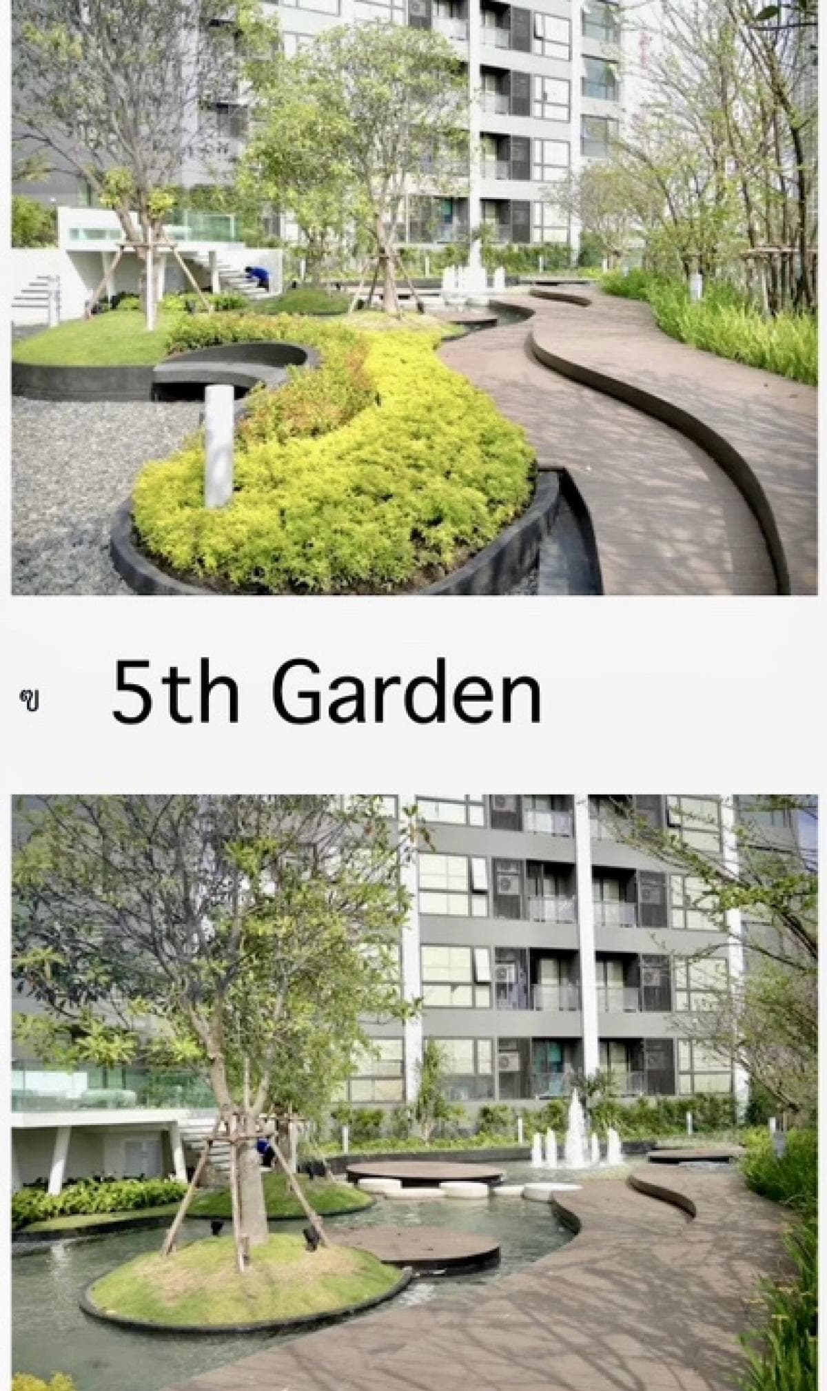 Photos