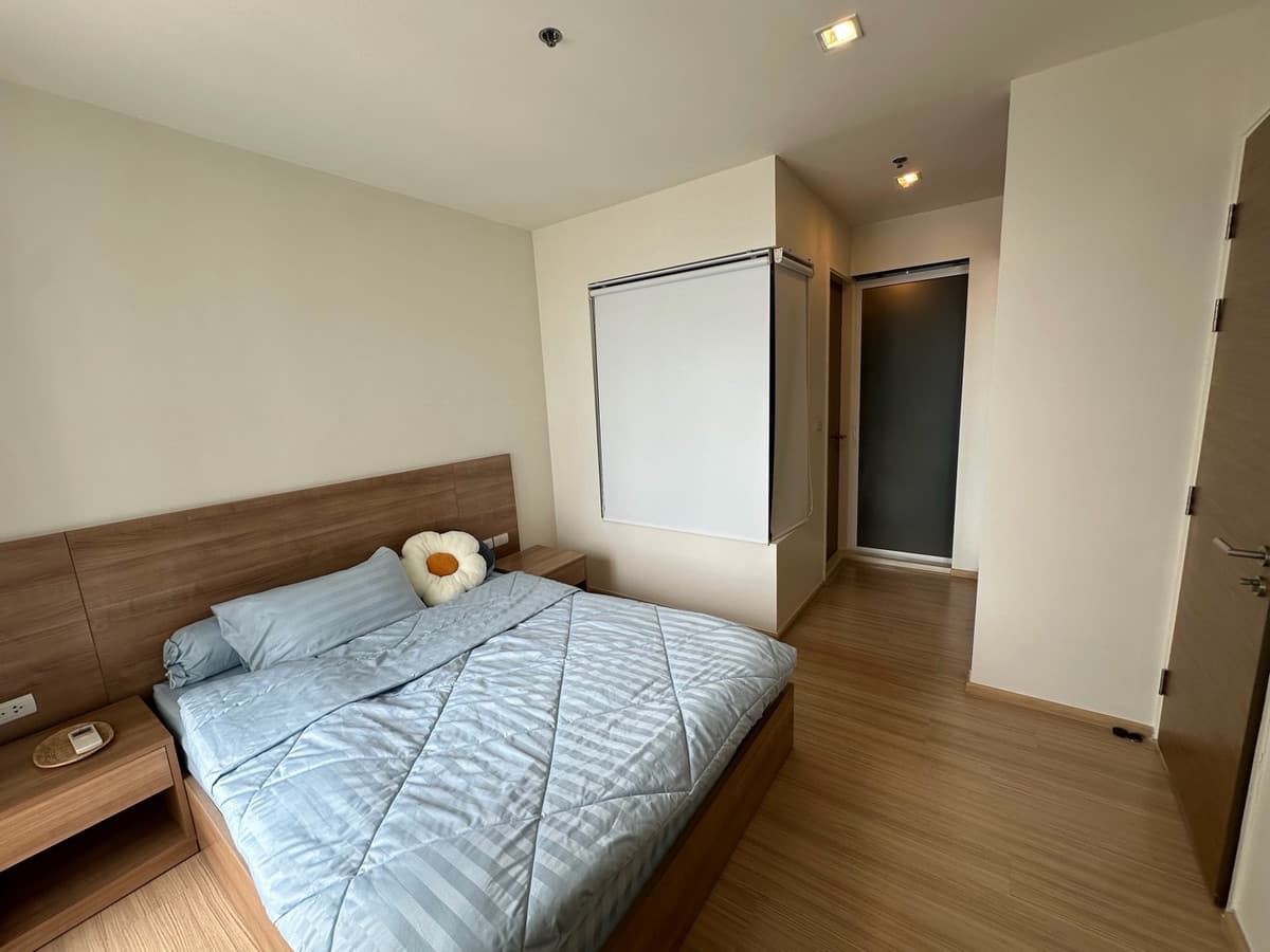 Photos