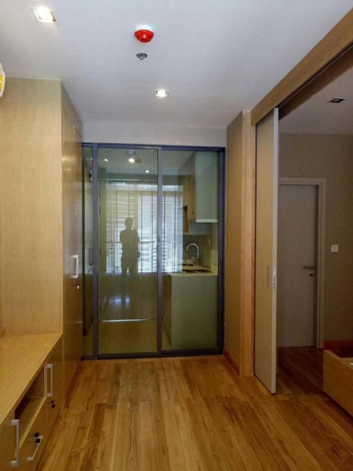 Photos