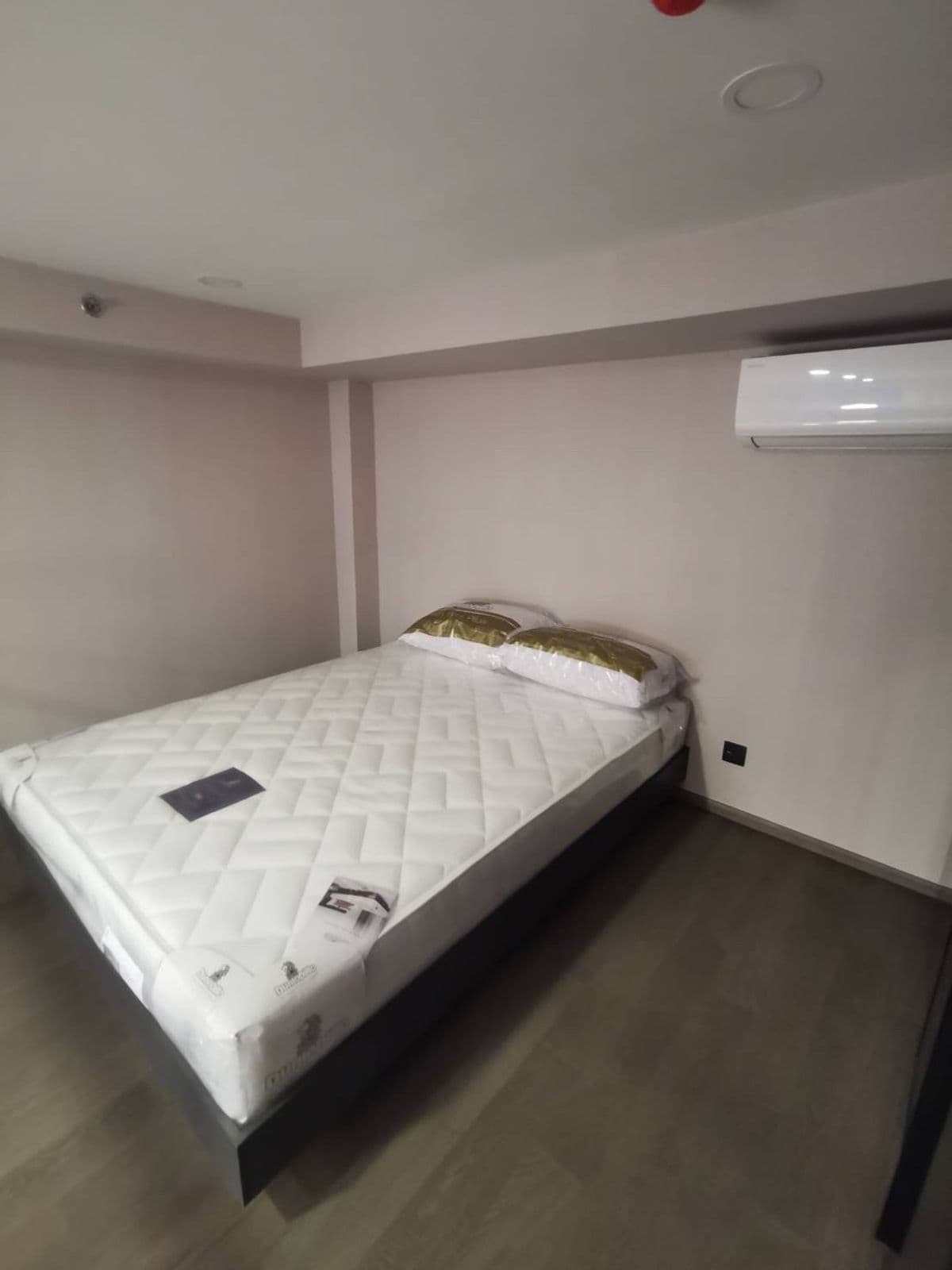Photos