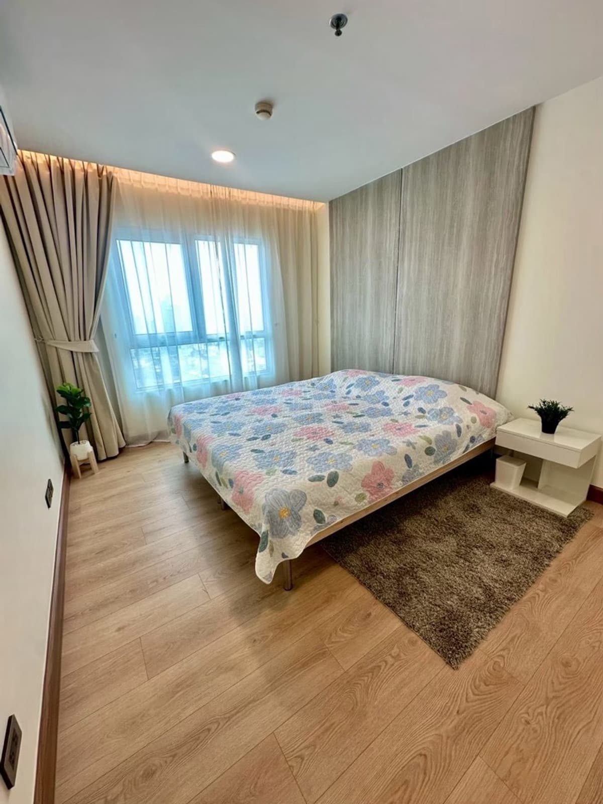 Photos