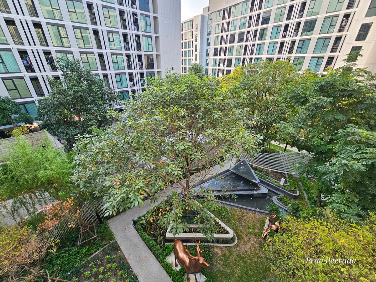 ห้องรับแขก รูปที่ 13