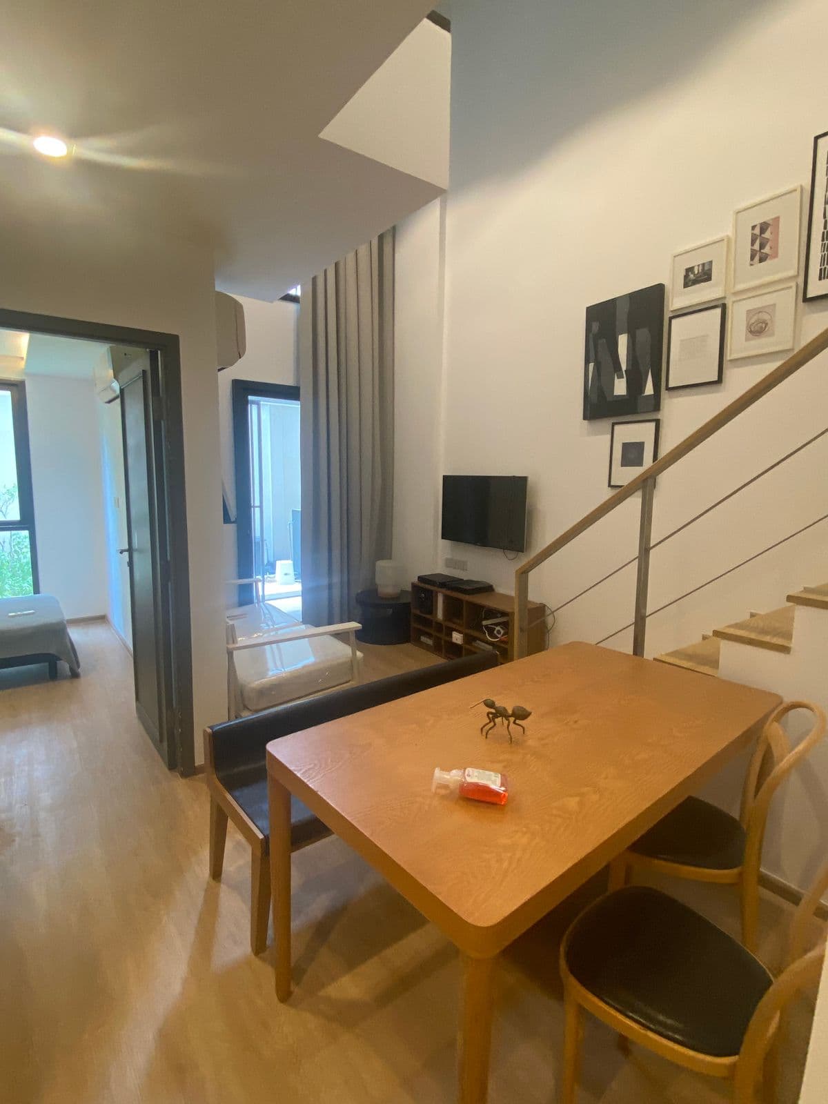 Photos