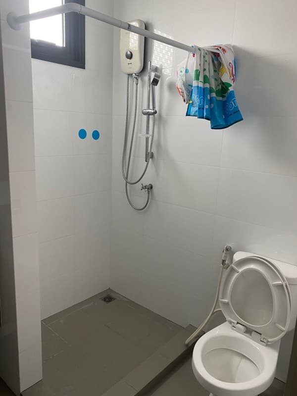Photos