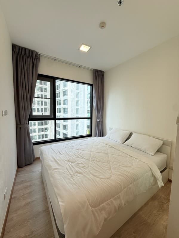 Photos
