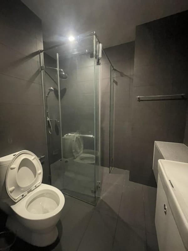 Photos