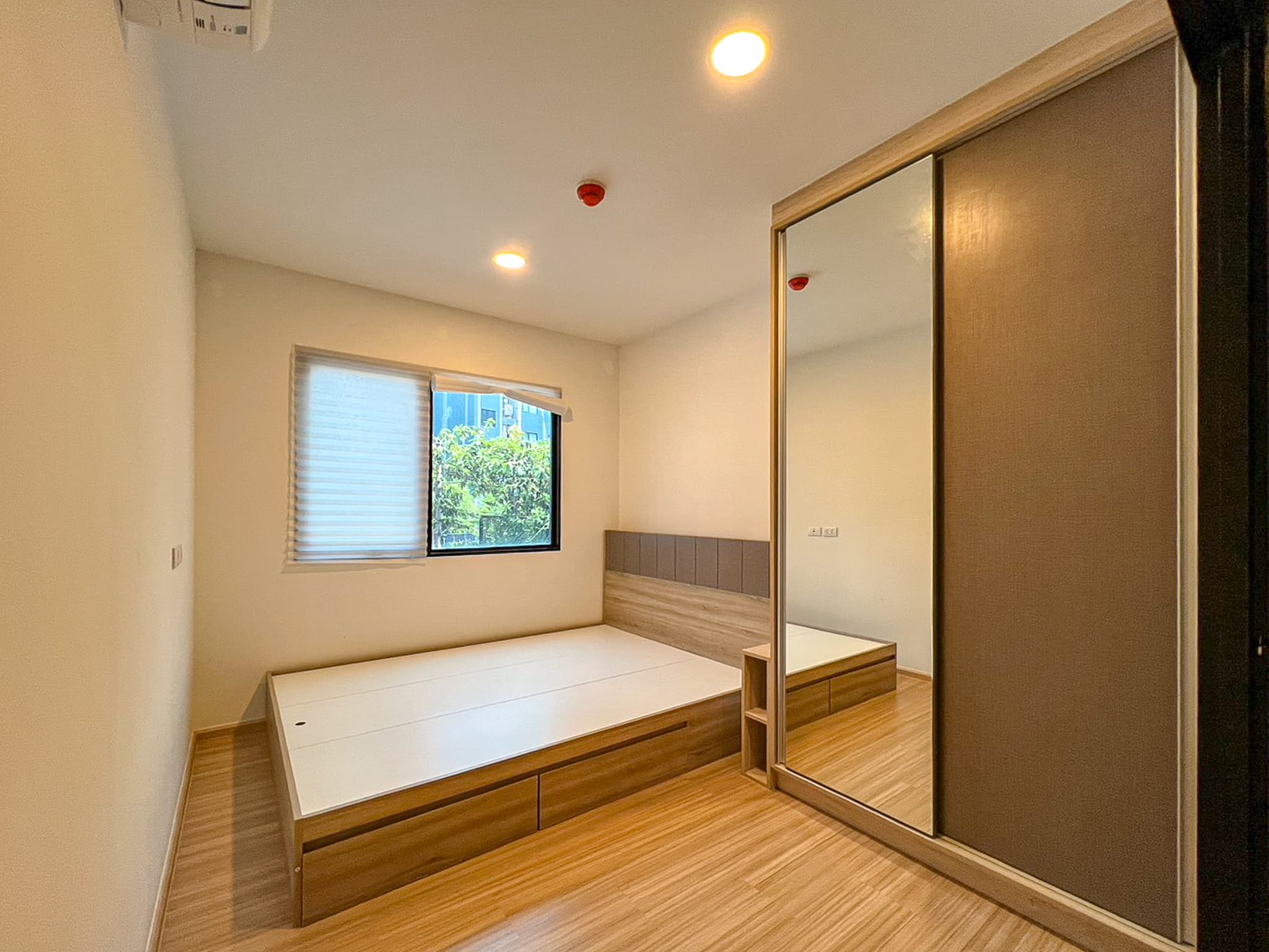 Photos
